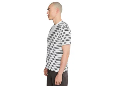 Lacoste Striped Cotton T-shirt In Multi
