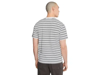 Lacoste Striped Cotton T-shirt In Multi