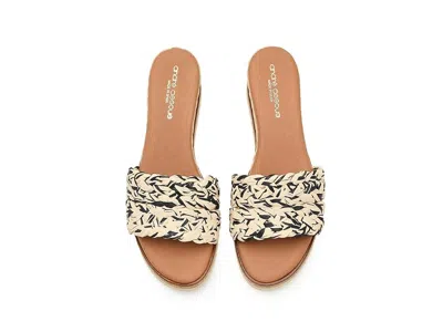 Andre Assous Nessie In Multi