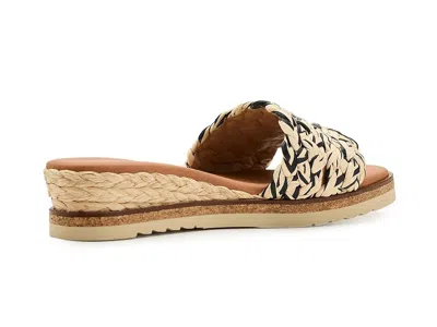 Andre Assous Nessie In Multi