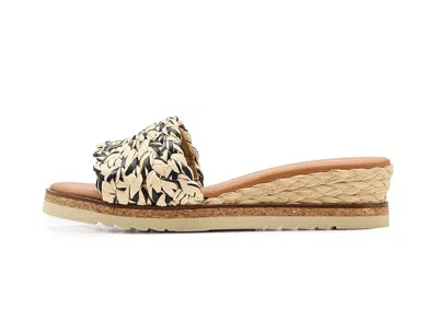 Andre Assous Nessie In Multi