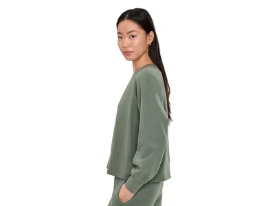 Pact Cloudknit Raglan Crew In Green