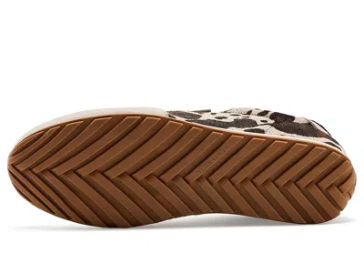 Allsaints Liam Sneakers In Multi