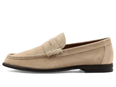 Steve Madden Hettick In Brown