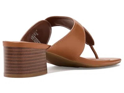 Aerosoles Cloude In Brown