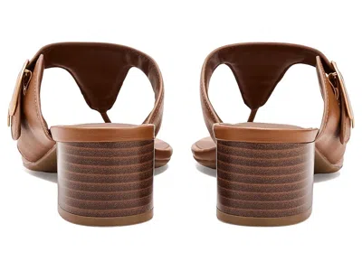 Aerosoles Cloude In Brown