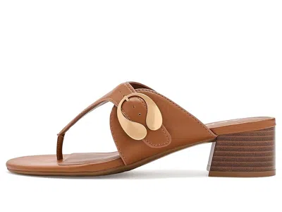 Aerosoles Cloude In Brown
