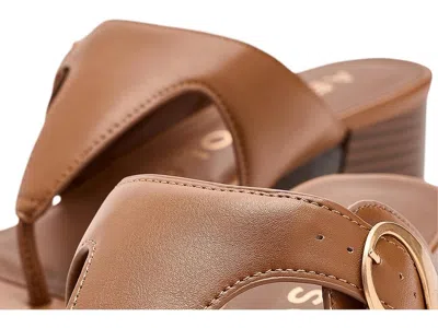 Aerosoles Cloude In Brown