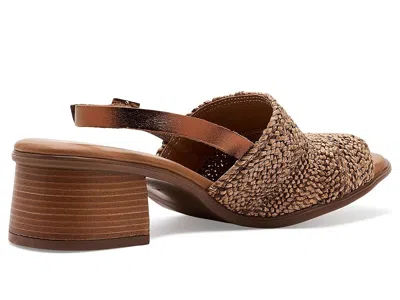 Eric Michael Rafa In Brown