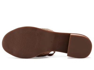 Eric Michael Rafa In Brown