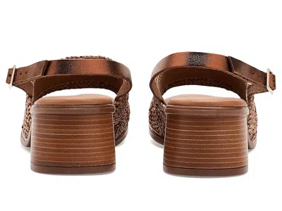 Eric Michael Rafa In Brown