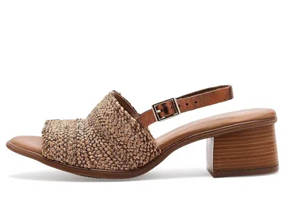 Eric Michael Rafa In Brown