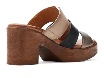 Eric Michael Connie In Brown