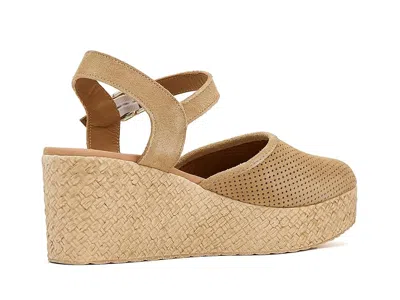 Eric Michael Forest In Brown