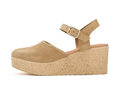 Eric Michael Forest In Brown