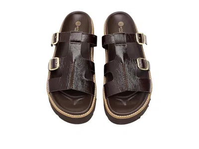 Eric Michael Nedra In Brown