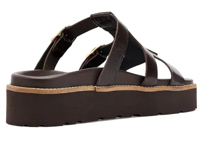 Eric Michael Nedra In Brown