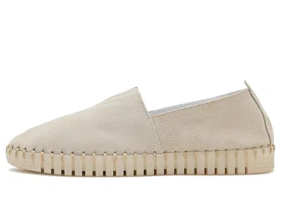 Eric Michael Marcy In Brown