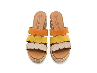 Eric Michael Minka In Orange