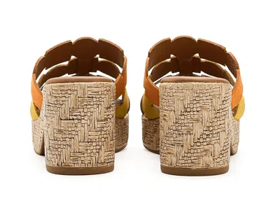 Eric Michael Minka In Orange