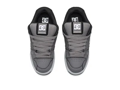 Dc Stag In Gray