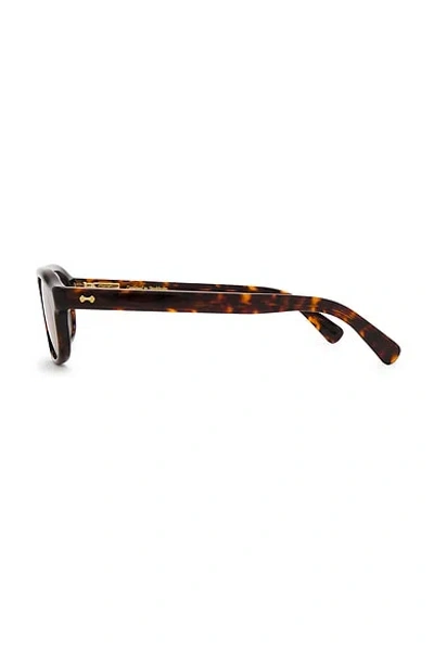 Chimi Eli Sunglasses