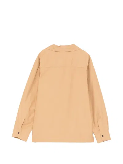 Balmain Logo-embroidered Jacket In Brown