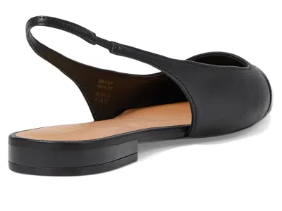 Aldo Fleure In Black