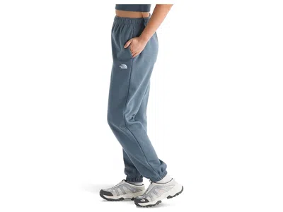 The North Face Evolution Embroidered Pants In Blue