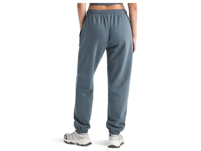 The North Face Evolution Embroidered Pants In Blue