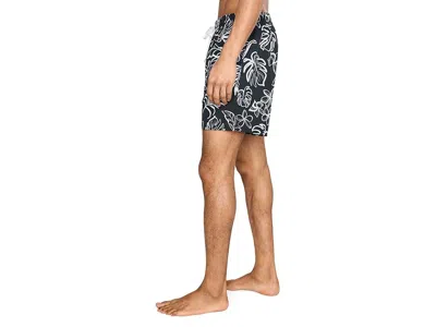 Chubbies Briefly In Multi