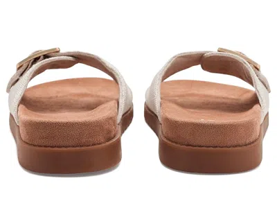 Toms Marin Buckle-detail Slides In Multi