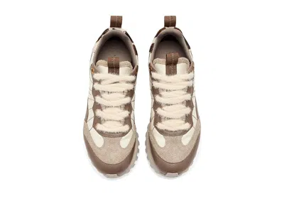 Allsaints Nevis Sneakers In Multi
