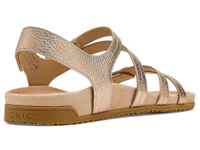 Vionic Essie In Brown