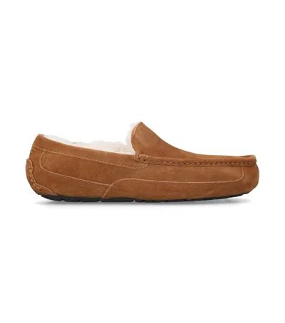 Ugg Ascot Slipper One Pedal Athleisure Casual Sports Shoes Fleece Lined In Multi