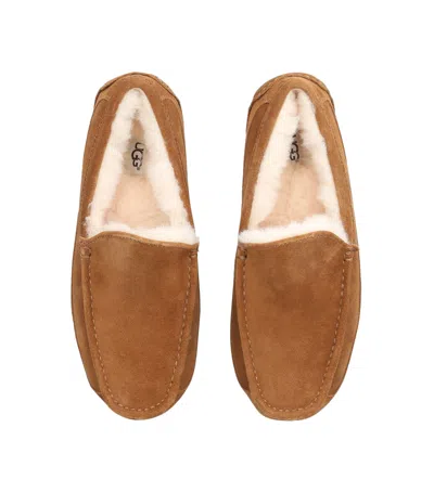 Ugg Ascot Slipper One Pedal Athleisure Casual Sports Shoes Fleece Lined In Multi