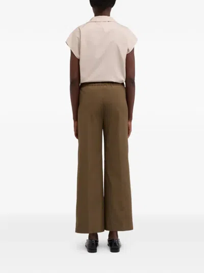 Aspesi Elasticated Cotton Trousers In Brown