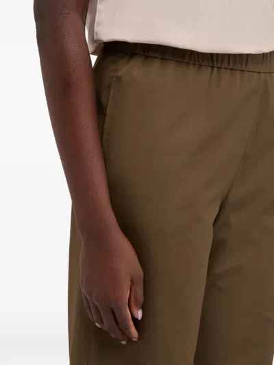 Aspesi Elasticated Cotton Trousers In Brown