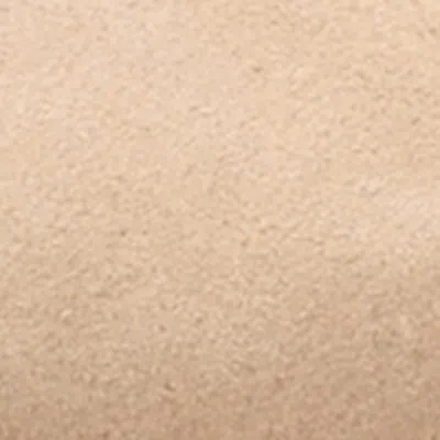 Ugg Tazz Beige Sabot With Embossed Logo In Suede Woman In Multi