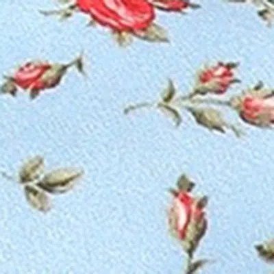 Dolce & Gabbana Keira Satin Mules With Little Roses Print In Blue