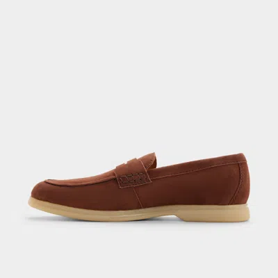 Aldo Ecko In Brown