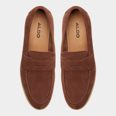 Aldo Ecko In Brown