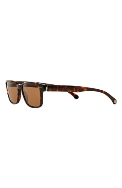 Brooks Brothers 52mm Rectangular Sunglasses In Brown