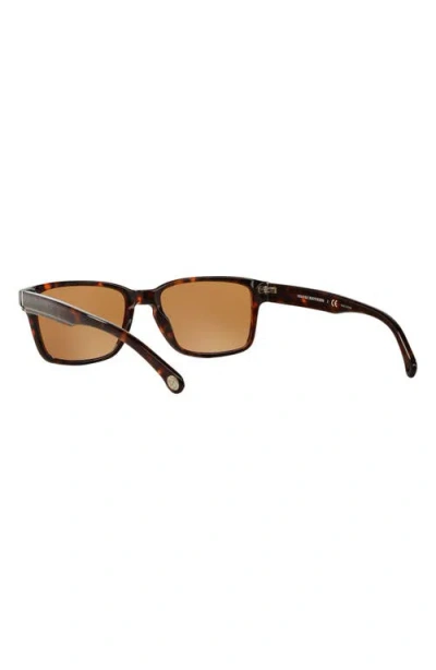 Brooks Brothers 52mm Rectangular Sunglasses In Brown