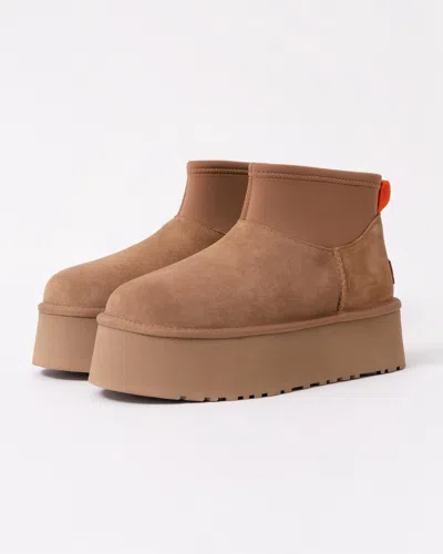 Ugg Biscuit Suede Classic Mini Dipper Ankle Boots In Chestnut