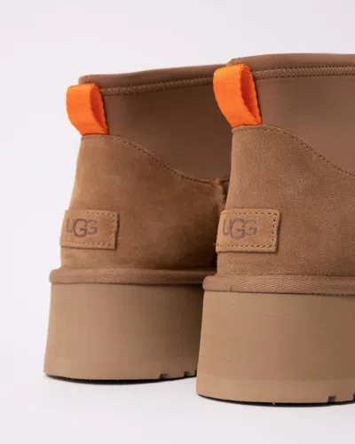 Ugg Biscuit Suede Classic Mini Dipper Ankle Boots In Chestnut