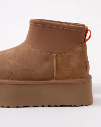 Ugg Biscuit Suede Classic Mini Dipper Ankle Boots In Chestnut