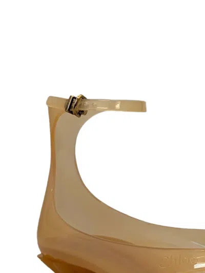 Chloé Jelly Brown Sandals With Logo Imprinted On The Side And Ankle Buckle Closure In Tpu Woman In Brown