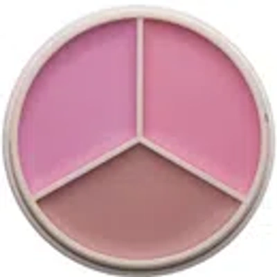 Anastasia Beverly Hills Magic Touch Blush Trio (3 Shades) In Multi