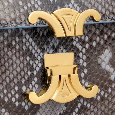 Celine Teen Triomphe Bag In Python Patchwork In Gray